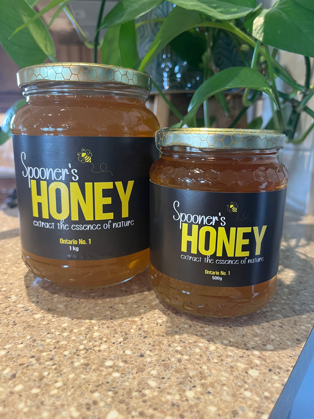 Spooner's Honey